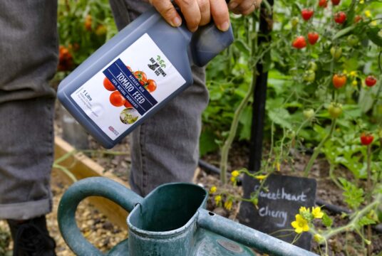 Garden 097 LAH 2025 web _DSF7341 scaled