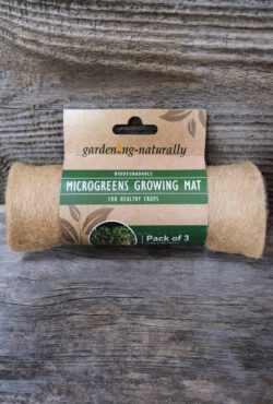 Garden 115 LAH 2025 web_DSF6521 scaled