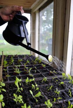 Garden 153 LAH 2025 web _DSF7271 scaled