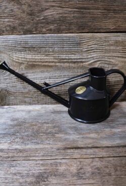 Garden 153 LAH 2025 web _DSF6473 scaled