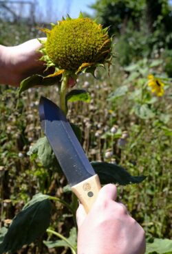 Garden 188 LAH 2025 web _DSF6153 scaled