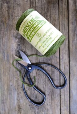 Garden 200 LAH 2025 web _DSF5954 scaled