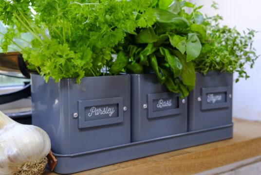 Garden 015 LAH 2025 web_DSF6007 scaled