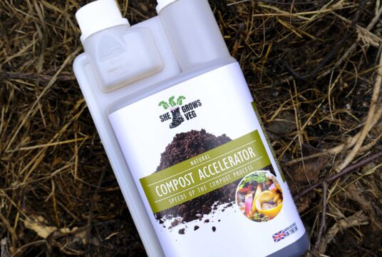 Garden 105 LAH 2025 web _DSF7355 scaled