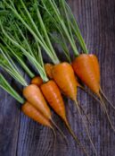Carrot Ox Heart LAH 2025 web_DSF6434 scaled