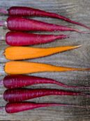 Carrot Cosmic Purple LAH 2025 web_DSF6429 scaled