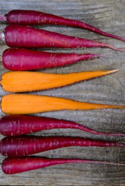 Carrot Cosmic Purple LAH 2025 web_DSF6429 scaled