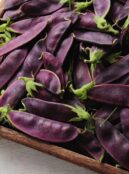 Pea Shiraz web 334398914 scaled