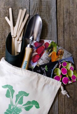 Kids Bundle LAH 2025 web_DSF7395 scaled