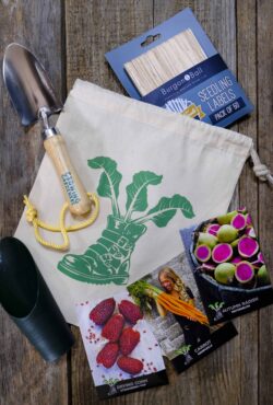 Kids Bundle LAH 2025 web_DSF7393 scaled