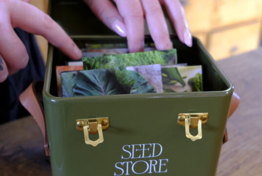 Garden 041 LAH 2025 web _DSF6102 scaled