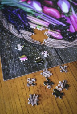 Garden 003 LAH 2025 web _DSF8146 scaled