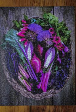 Garden 003 LAH 2025 web _DSF8144 scaled