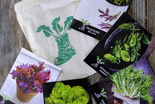 Gift Pack Year Round Salad LAH 2025 web _DSF8130 scaled