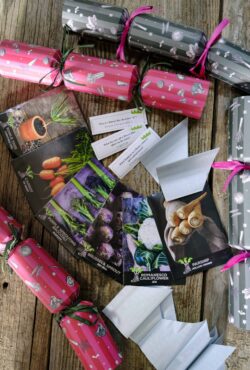 Cracker filling LAH 2025 web _DSF8295 scaled