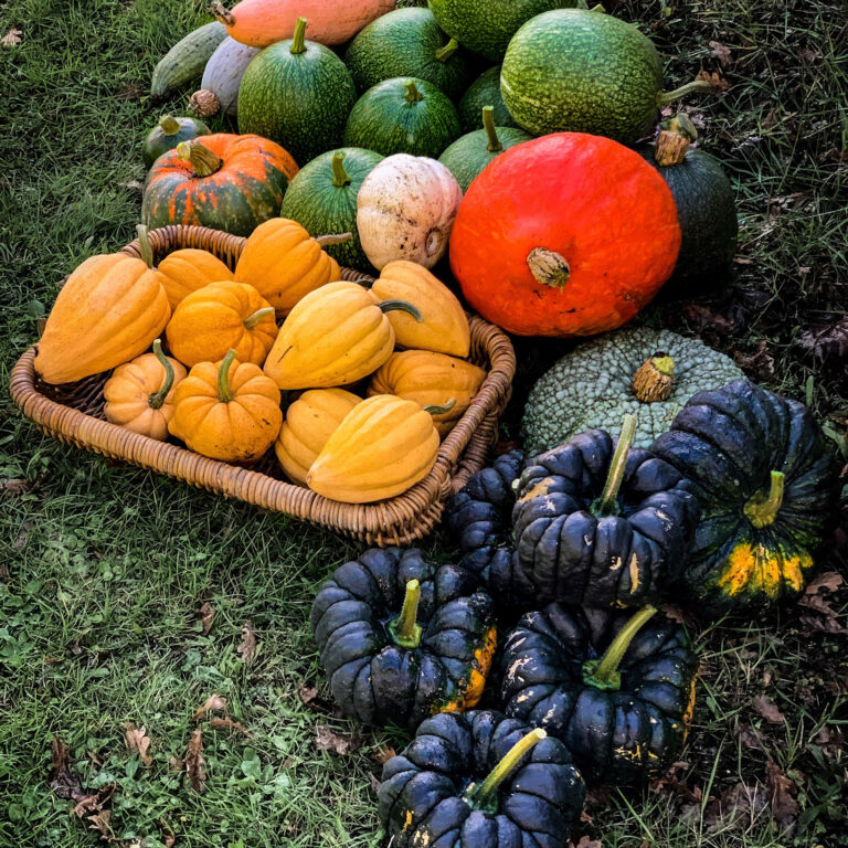 5B1A3103 2ACF 4154 A026 942296948D86