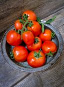 Tomato Heinz 1350 LAH 2025 web _DSF7041 scaled