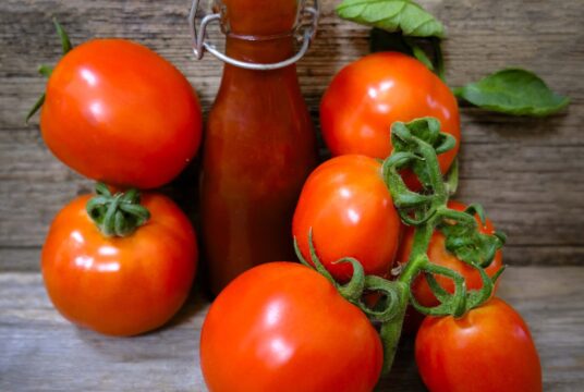 Tomato Heinz 1350 LAH 2025 web _DSF7042 scaled