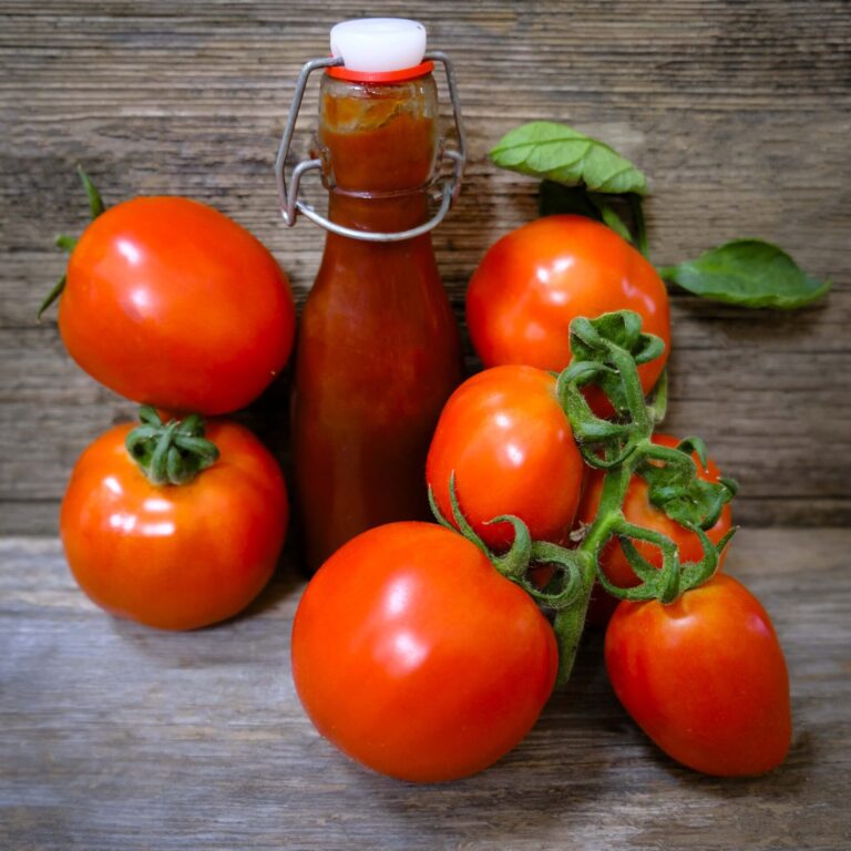 Tomato Heinz 1350 LAH 2025 web _DSF7042 scaled