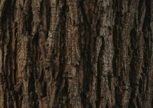 clay banks 4u629vFD3vI unsplash scaled