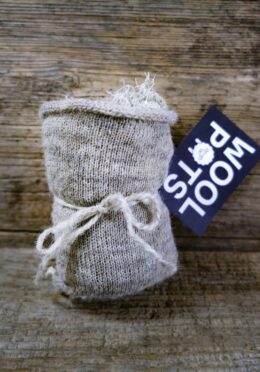 Garden 250 LAH 2025 web_DSF8585 scaled